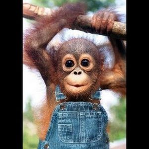 Meet your Posher, Erica